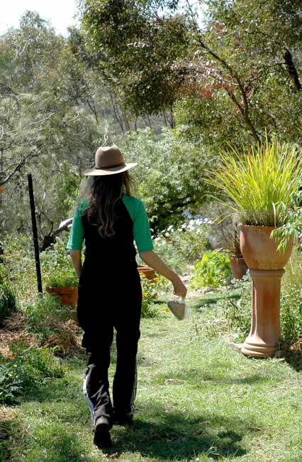 a bee keeper in her garden